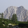 Mesec je naokrog in čas je za nov planinski podvig. Tokrat za tiste kondicijsko nekoliko bolj pripravljene, saj je tura zelo zahtevna. Vabljeni na 2532 m visoko Rjavino, kamor se [&hellip;]