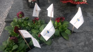 20171029_095651-grob-na-savi